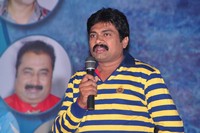 Maa Palle Repallantaa Movie Audio Launch